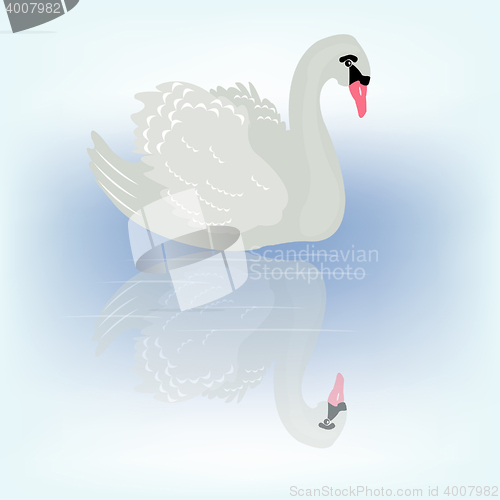 Image of Bird swan and her reflection in transparent water