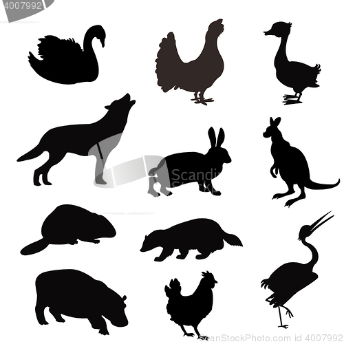 Image of Silhouettes of the beasts and birds