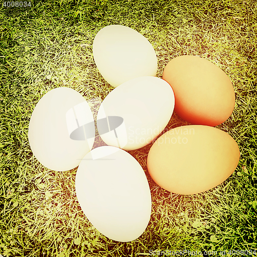 Image of Eggs on the grass . 3D illustration. Vintage style.