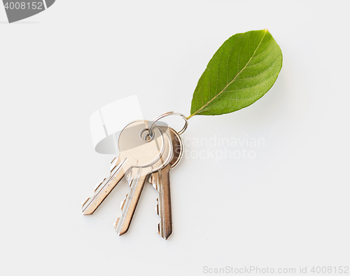 Image of close up of house keys and green leaf