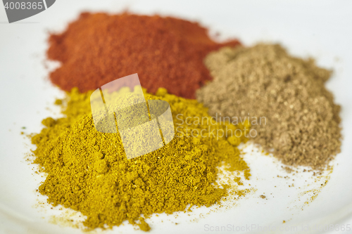 Image of different spices paprika curry garam massala in white table