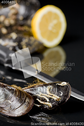 Image of raw mussels from galicia spain in black background