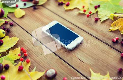 Image of smartphone with autumn leaves, fruits and berries