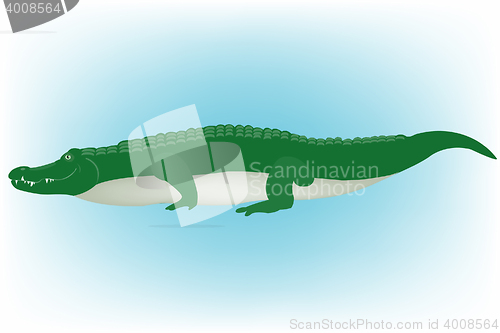 Image of Illustration of the crocodile