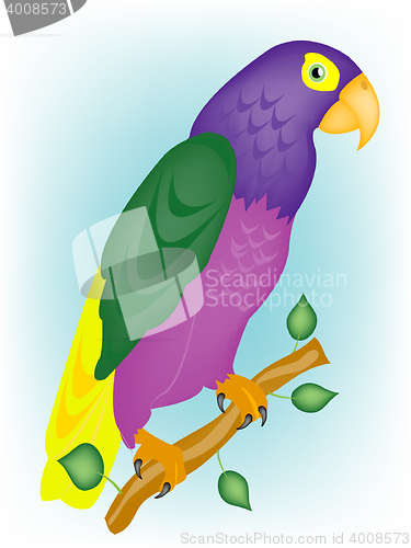 Image of Varicoloured parrot on branch