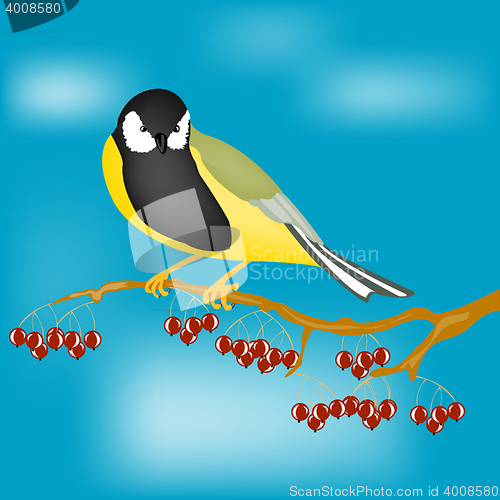 Image of Small bird on branch with berry