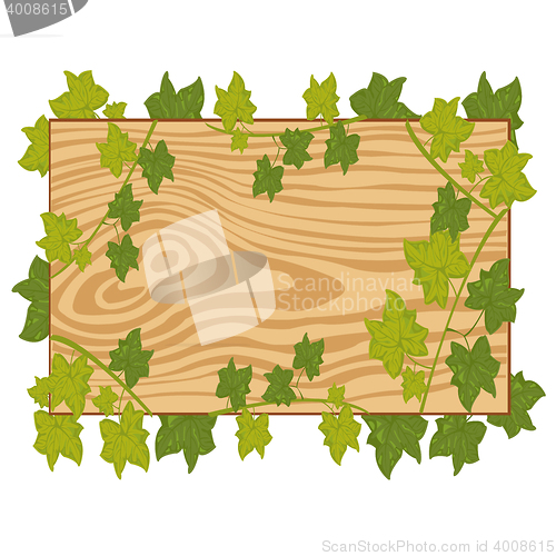 Image of Board with foliage on white background