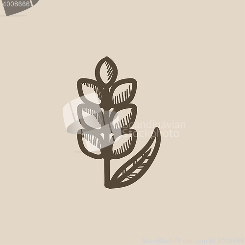 Image of Wheat sketch icon.