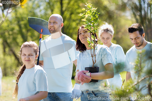 Image of group of volunteers with trees and rake in park