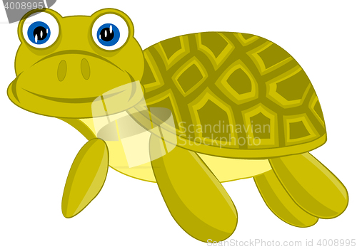 Image of Cartoon of the terrapin on white background