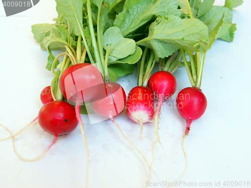 Image of Vegetables radish