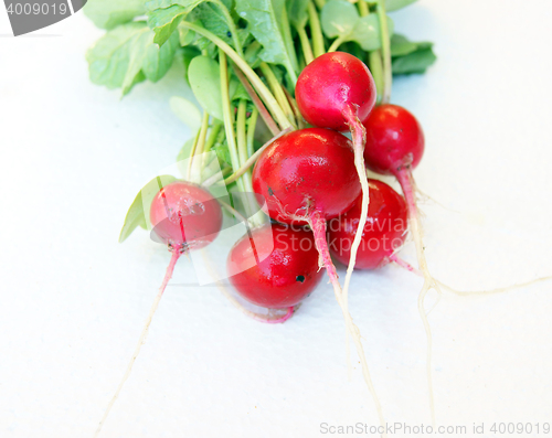 Image of Radish on white background