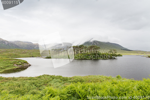 Image of view to island in lake or river at ireland