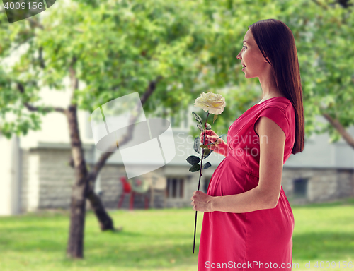 Image of happy pregnant woman with rose flower