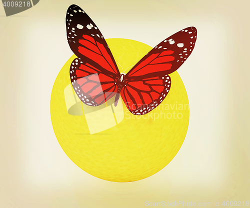 Image of Red butterflys on a oranges. 3D illustration. Vintage style.