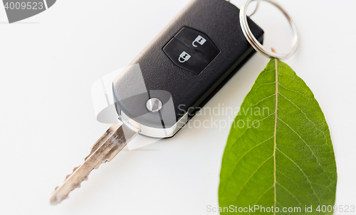 Image of close up of car key and green leaf