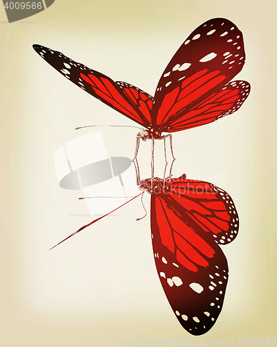 Image of Butterfly. 3D illustration. Vintage style.