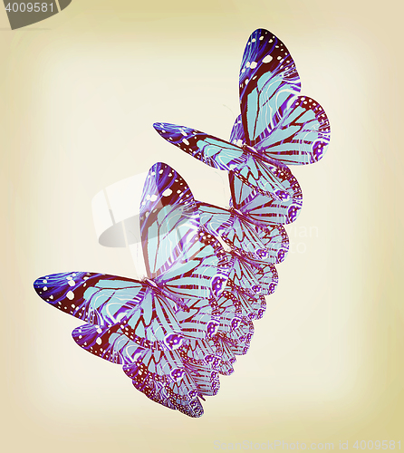 Image of Butterflies. 3D illustration. Vintage style.