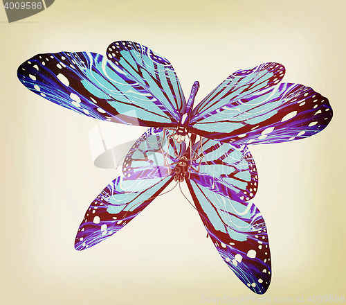 Image of Butterfly. 3D illustration. Vintage style.