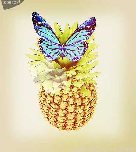 Image of Blue butterflys on a pineapple. 3D illustration. Vintage style.