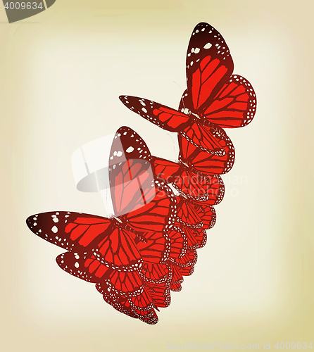 Image of Butterflies. 3D illustration. Vintage style.