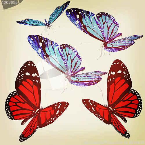 Image of Butterflies. 3D illustration. Vintage style.