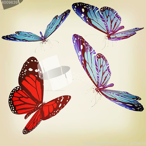 Image of Butterflies. 3D illustration. Vintage style.