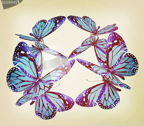 Image of Butterflies. 3D illustration. Vintage style.