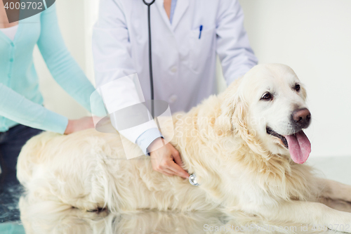 Image of close up of vet with stethoscope and dog at clinic