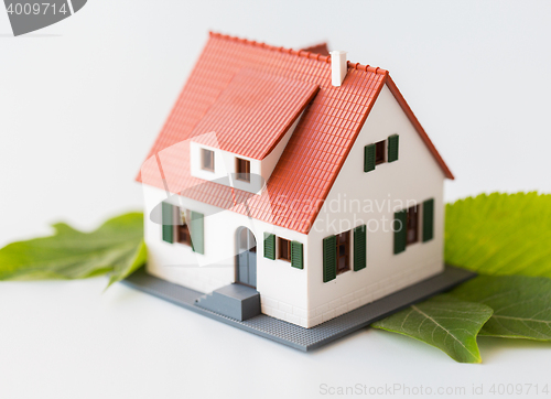 Image of close up of house model and green leaves