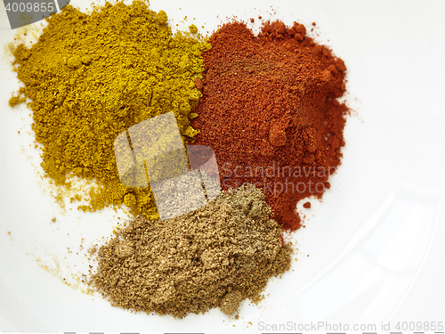 Image of different spices paprika curry garam massala in white table