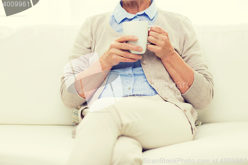 Image of close up of senior woman with tea cup at home