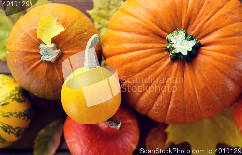 Image of close up of pumpkins on wooden table at home