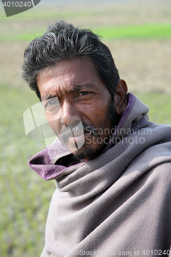 Image of Portrait of a day laborer in Kumrokhali, West Bengal, India