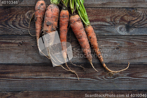 Image of raw carrots on the ground