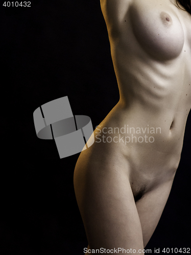 Image of beautiful attractive female body in erotic pose