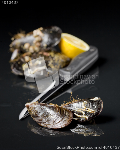 Image of raw mussels from galicia spain in black background