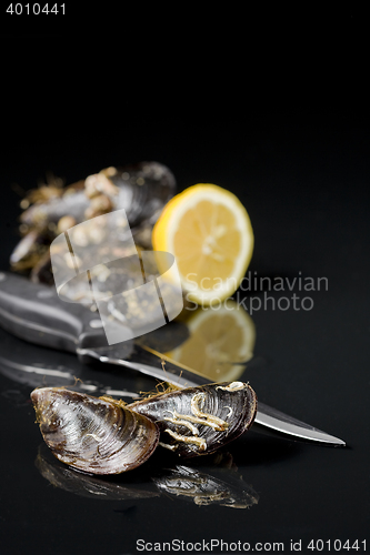 Image of raw mussels from galicia spain in black background