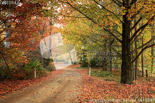 Image of Country road meandering through trees with autumn foliage