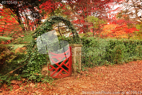 Image of Autumn in Mount Wilson Australia