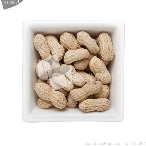 Image of Groundnut