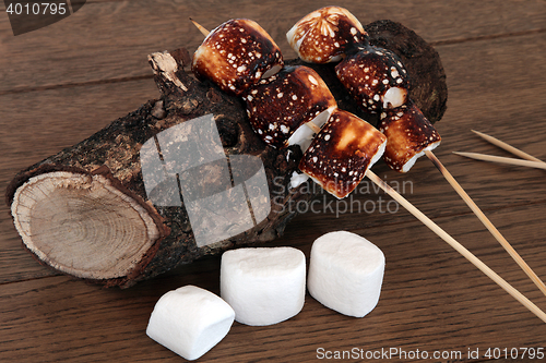 Image of Toasted Marshmallow Treats