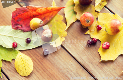 Image of close up of autumn leaves, fruits and berries