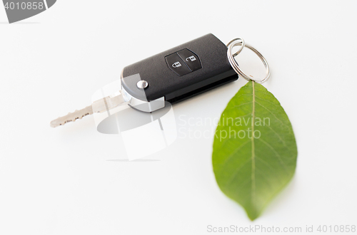 Image of close up of car key and green leaf