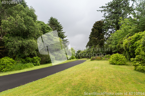 Image of asphalt road at connemara in ireland