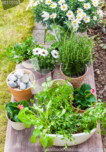 Image of Flower pots