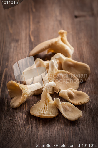 Image of Fresh organic oyster mushrooms on a wooden table
