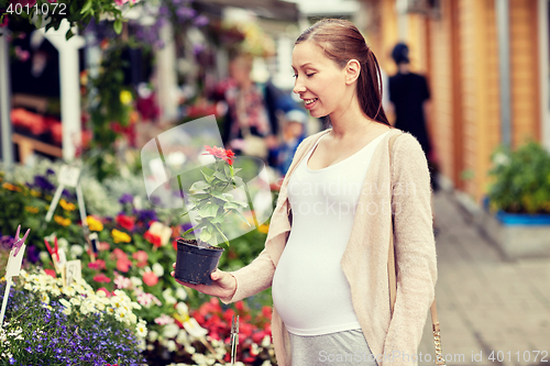 Image of pregnant woman choosing flowers at street market