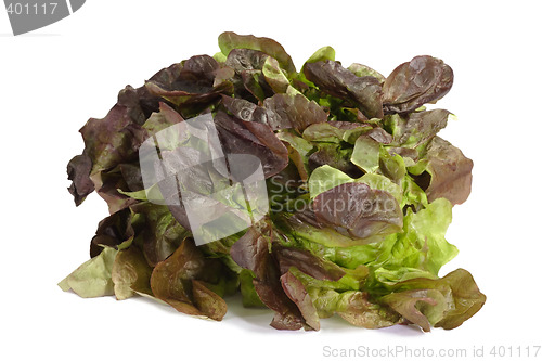 Image of Red Lettuce