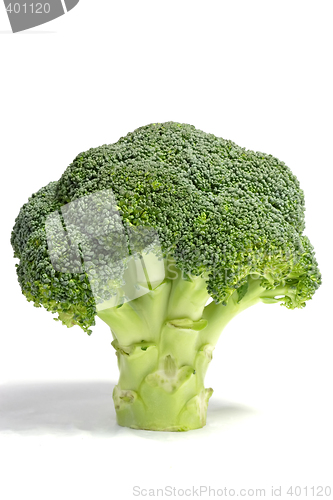 Image of Standing broccoli